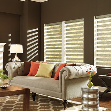 Transitional Shades