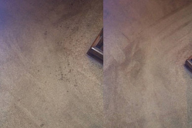 Before & After Carpet Cleaning in Atlanta, GA