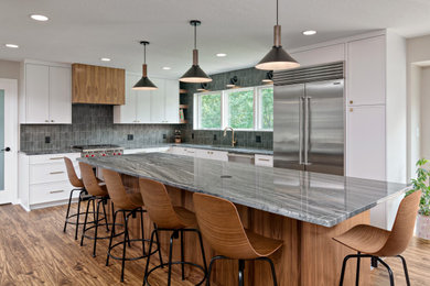 Mid-century modern kitchen photo in Minneapolis