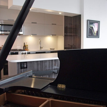Hirsch Residence NYC