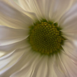 Photos for canvas prints/wall decor - Products