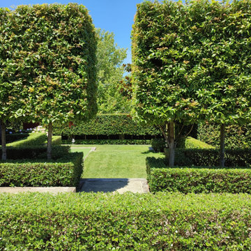 Remuera Renovation and Landscape
