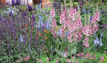 Great Ideas to Steal from the 2015 Chelsea Flower Show