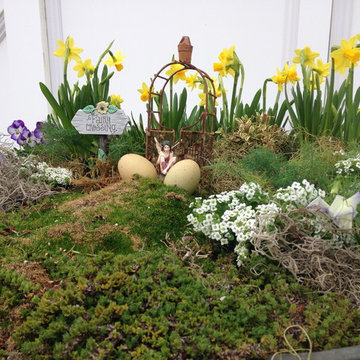 Fairy Gardens, Terrariums & Succulents