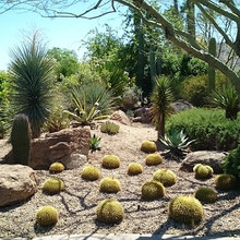 Backyard Landscaping Inspo