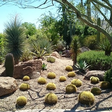 Landscape