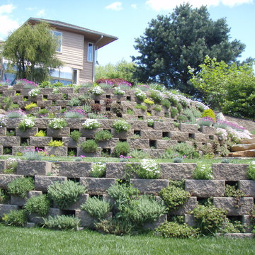 Living Walls - A Terraced Garden in Pikesville