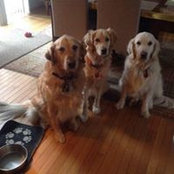Carol Friedman's photo