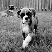 Blair Ralphs foto
