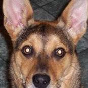 Foto von Sandy Benedick