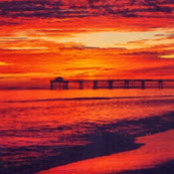 Shelley Tumlin's photo