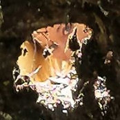 Robin Beaulieu-Lee's photo