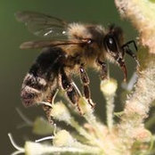 Jennifer Hunt's photo
