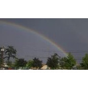 cms33's photo