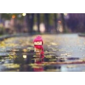 DeE Barkhouse's photo