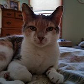 Susan Vining's photo