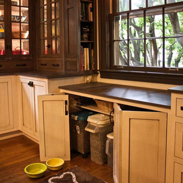 Pet Friendly Designs