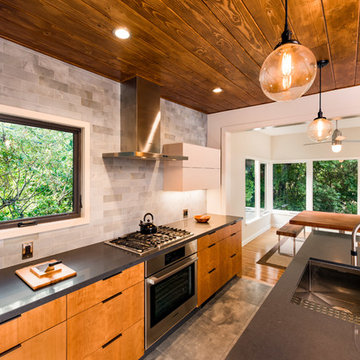 California Modern Kitchen Renovation