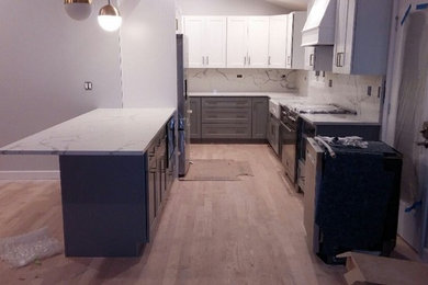 Inspiration for a mid-century modern home design remodel in Chicago
