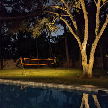 Outdoor Lighting | Tree Uplighting