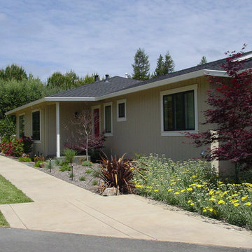 Tree Haven Lane