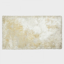 Carpets & Rugs Collection - Products