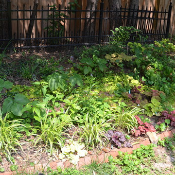DIY Landscape - Woodland or Shade Gardening