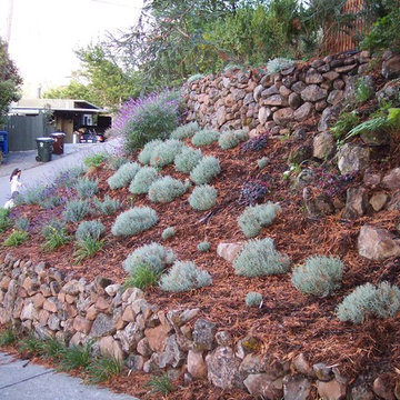 Landscape Design & Installation