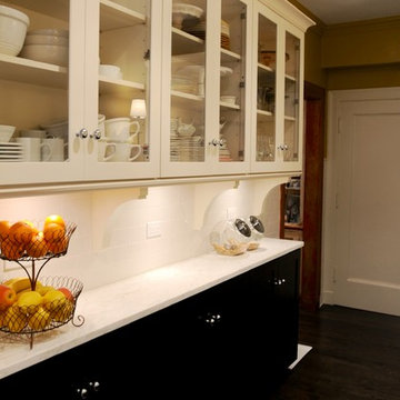 Lake Shore Drive Kitchen