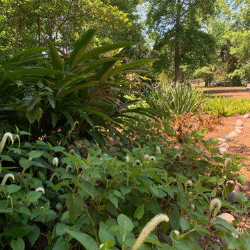 Memorial Garden- Tropical