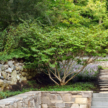 Belmont, MA Terraced Garden and Landscape Design