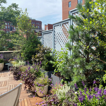 Greenwich Street Secret Garden