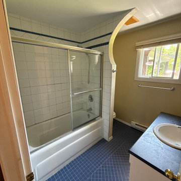 Insane Bathroom Transformation in Caledon