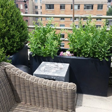 Greenwich Village Rooftop Garden