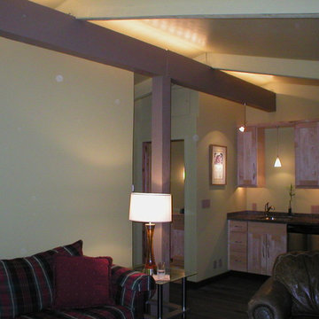 Ski Condo
