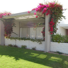 Curb Appeal