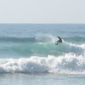 Aaron Marshall's photo