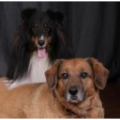 Amanda Baker's photo
