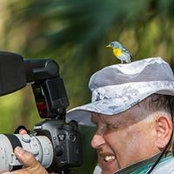 Foto de Wayne Caswell
