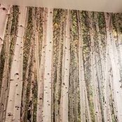 Jessica Ryans's photo