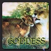 Yvette Sutphin's photo