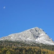 Randy Naughton's photo