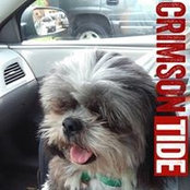 Carey Kennedy's photo