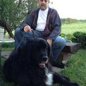 Bojan Trifkovič's photo
