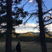 Chance Gallant's photo
