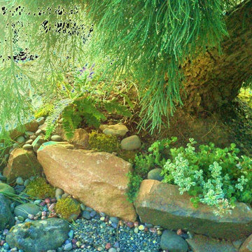 GARDEN ART: PERGOLA & XERIPAVE PERVIOUS PAVER "COBBLE STONE" RAIN GARDEN CREEK