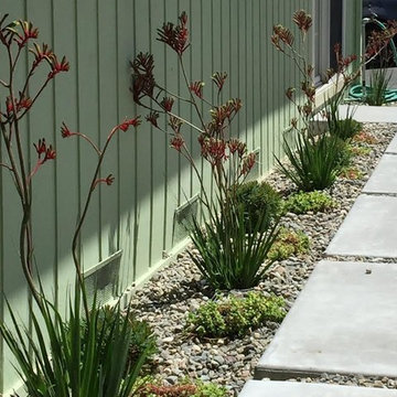 Leahy Contemporary Landscaping