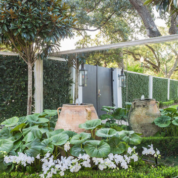 Back Landscaping