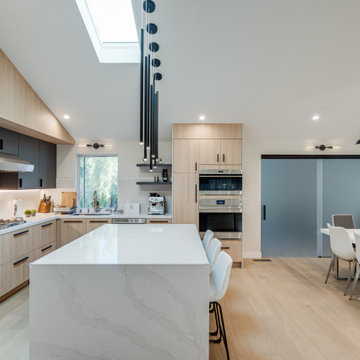Modern House