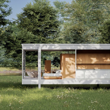 The Farnsworth House